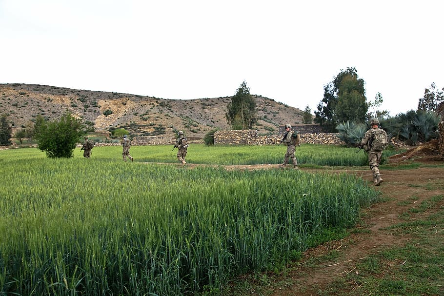 troopers, troops, soldiers, fields, marching, scouts, explore HD wallpaper