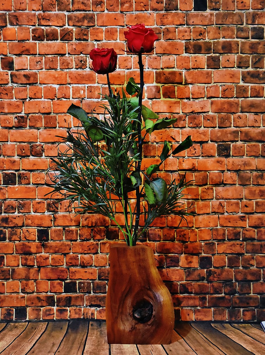 Roses, Flowers, Blossom, Bloom, red, red roses, nature, brick wall HD wallpaper
