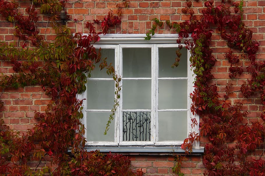 house, window, architecture, brick, old, building, building exterior HD wallpaper