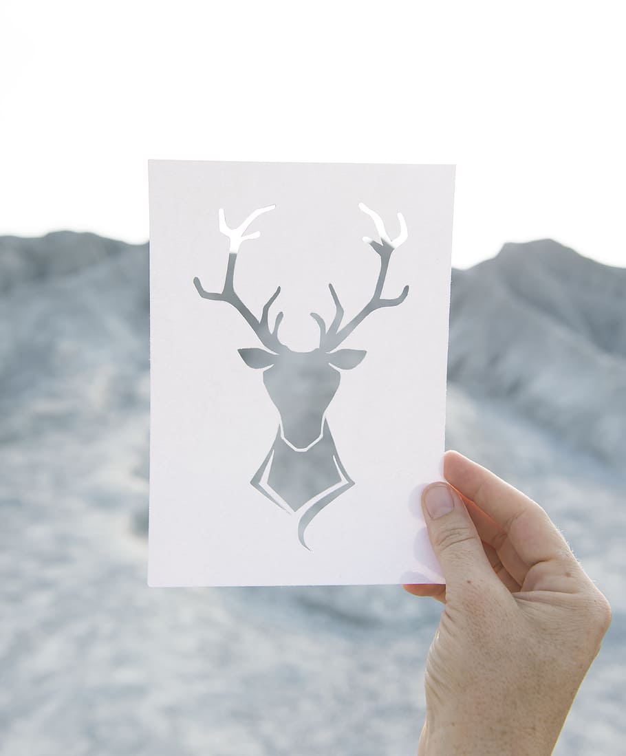 person holding deer-themed card, craft, mountain, paper, tranquil scene HD wallpaper