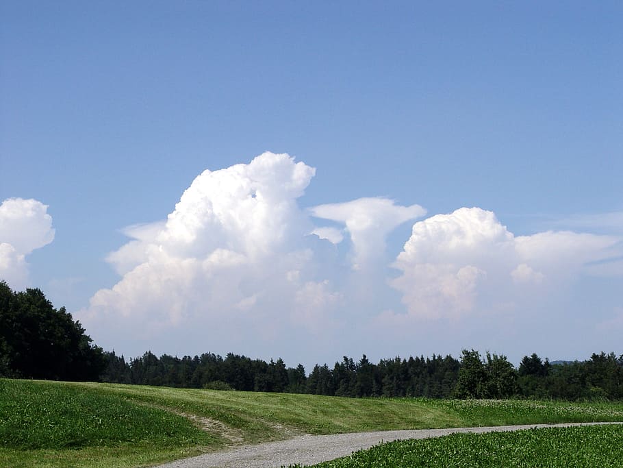 away, clouds, sky, landscape, mood, nice weather, summer, plant HD wallpaper