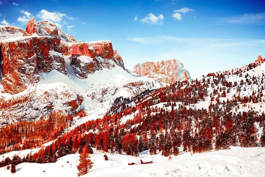 snow capped mountains and red leaf trees at daytime, shallow focus of mountain during daytime