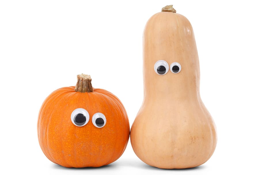two squash and gourd toys, autumn, fall, food, fresh, halloween, HD wallpaper
