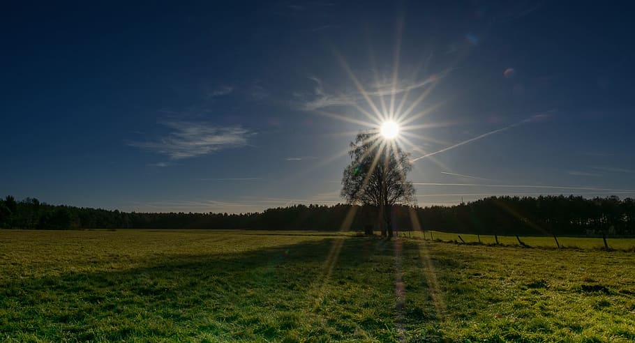 Sky, Sun, Sunny, Light, Sunlight, blue, day, bright, landscape HD wallpaper