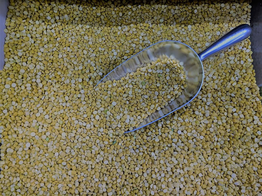 Yellow, Split, Pea, Dal, Legume, uncooked, dry, vegan, bean HD wallpaper