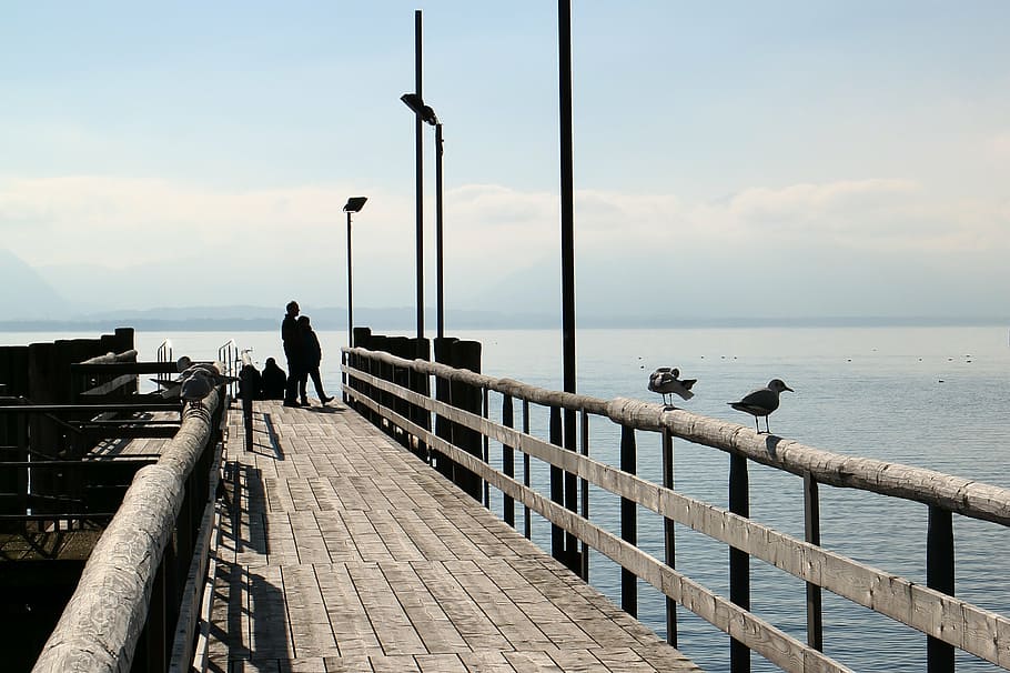 jetty, web, kaai, back light, shadow, silhouettes, human, sea HD wallpaper