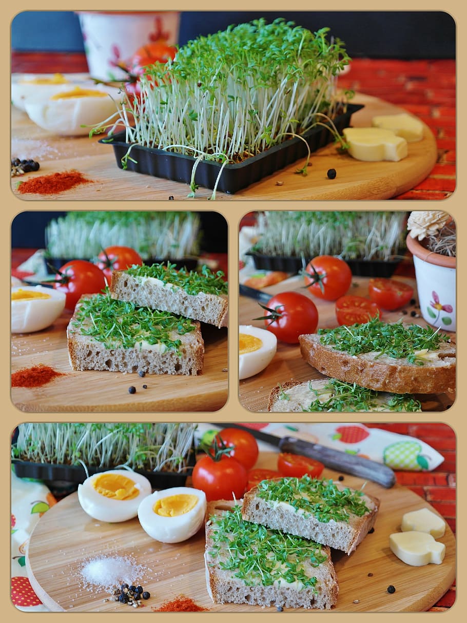 egg and bread sandwich collage, cress, cress bread, bread and butter HD wallpaper