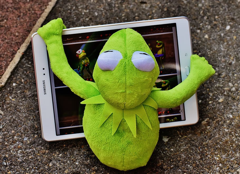 kermit, frog, tablet, computer, figure, soft toy, stuffed animal HD wallpaper