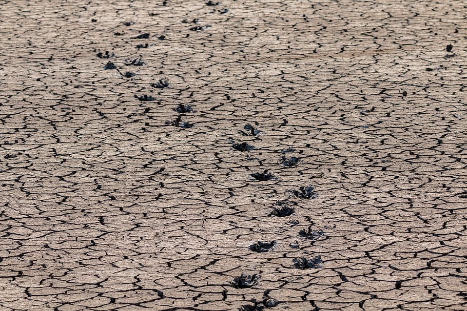 footprints, drought, away, target, hard way, difficult path HD wallpaper