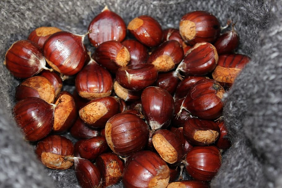 Chestnuts, Fall, Brown, gathered, natural, seed, woods, chestnut - Food HD wallpaper