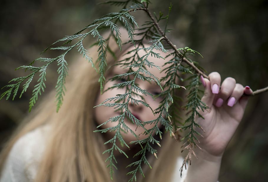 woman holding green leaf plant, woman holding tree branch, hand HD wallpaper