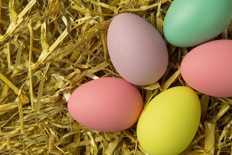 Overhead shot of colourful Easter eggs, various, animal Egg, food HD wallpaper
