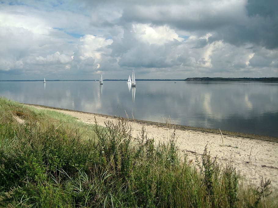 beach, sailing ships, denmark, water, sky, beauty in nature HD wallpaper