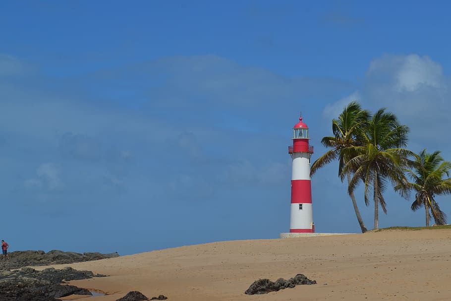 lighthouse, beach, coconut trees, guidance, security, sky, protection HD wallpaper