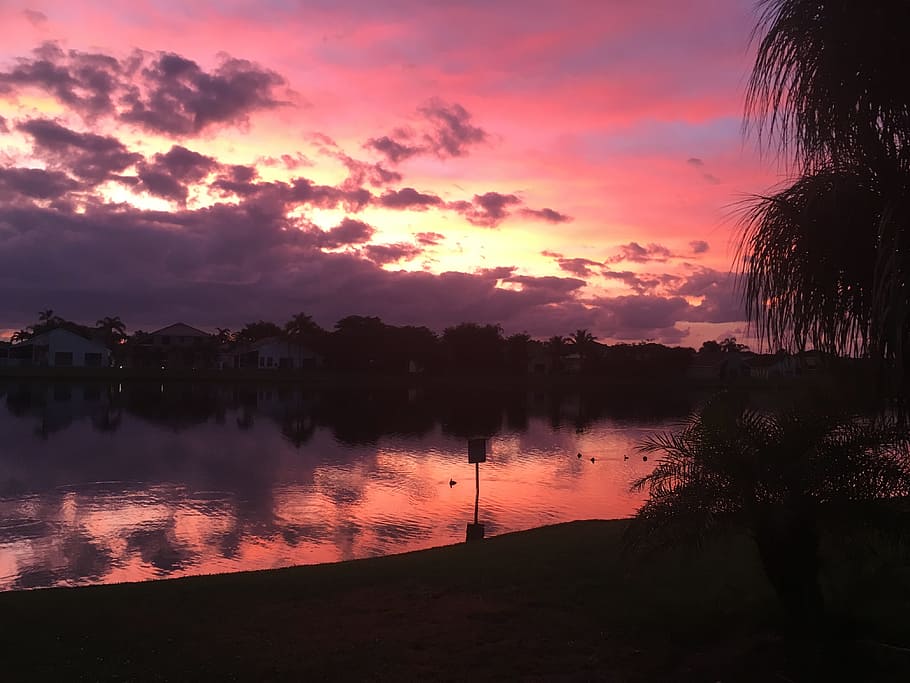 Sunrise, wow, breathtaking, reflection, tree, cloud - sky, sunset HD wallpaper