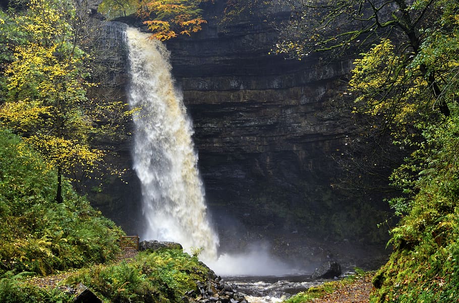 waterfall surrounded by trees, hardraw force, cliff, drop, flow HD wallpaper