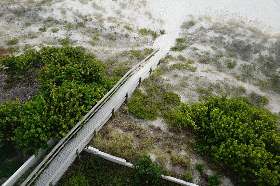 bridge, pathway, trees, plant, nature, landscape, sand, high angle view HD wallpaper