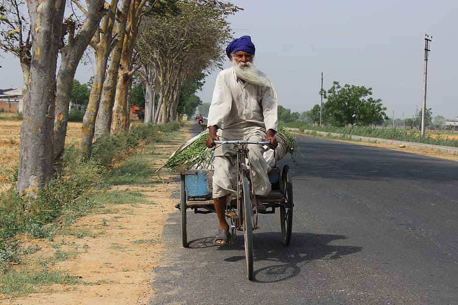 man riding bicycle on road beside tree, old, highway, greenery HD wallpaper
