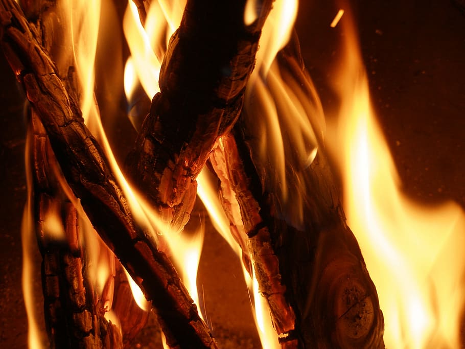 campfire, burn, fire - Natural Phenomenon, flame, heat - Temperature HD wallpaper