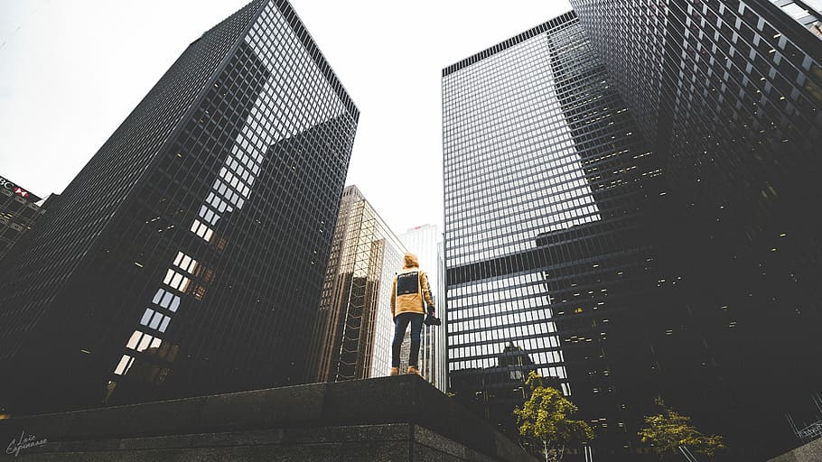 low angle photography of person standing near curtain wall buildings HD wallpaper