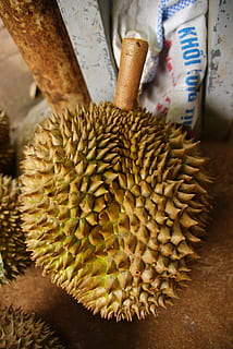 durian-exotic-fruit-tropical-asian-market-thumbnail.jpg