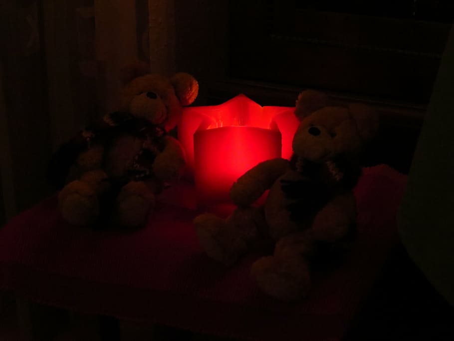 Hd Wallpaper Poinsettia Light Red Glow Teddy Bears Dark Gloomy Mysterious Wallpaper Flare