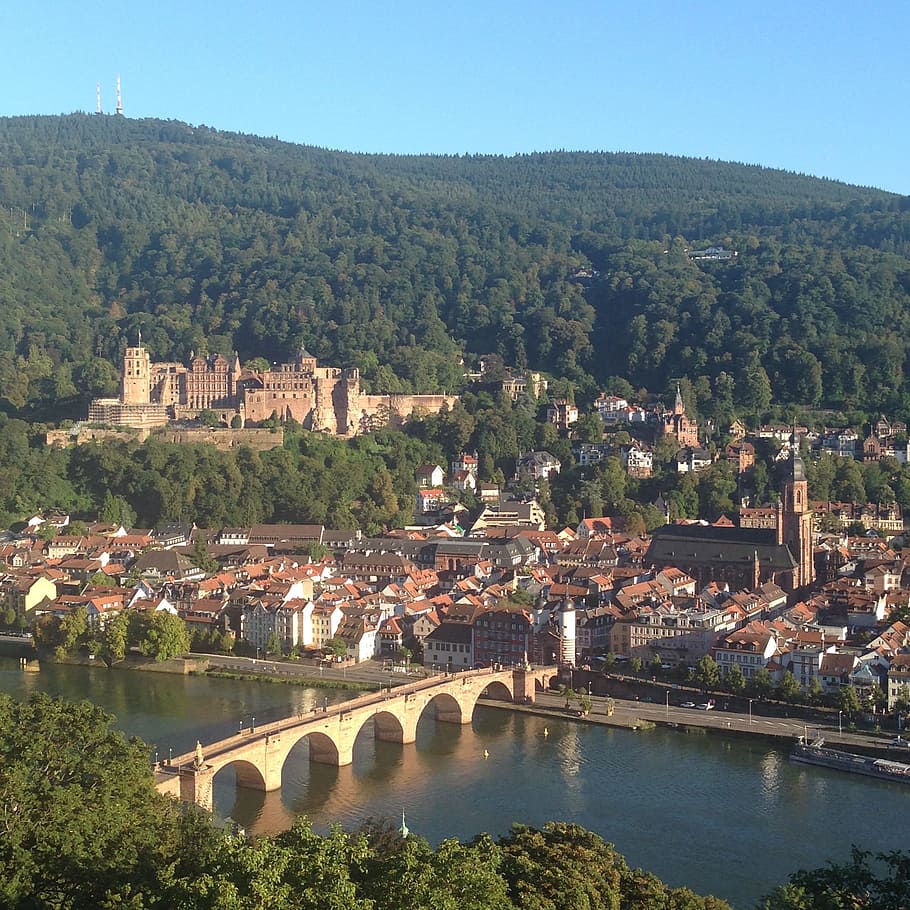 Heidelberg Castle, Germany, romantic, bridge, mountain, old, HD wallpaper