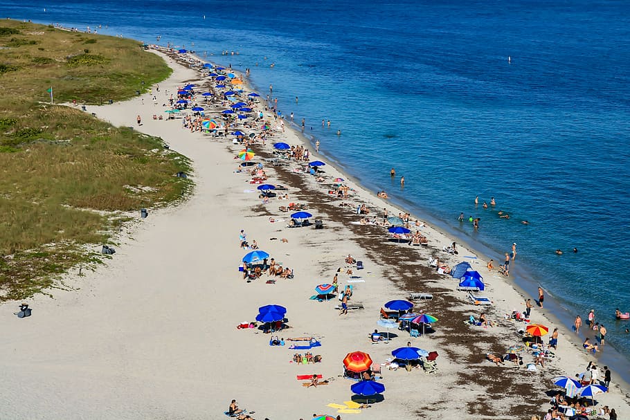 love for Key Biscayne, aerial photo of beach, sand, sea, ocean, HD wallpaper