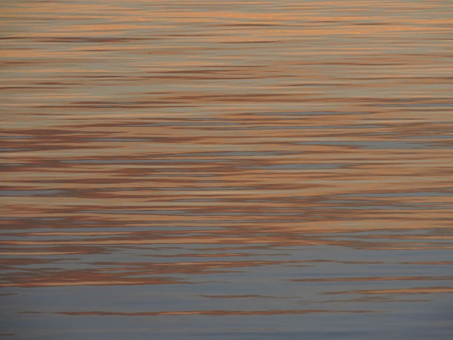 Water, Sunrise, Ocean, nature, backgrounds, full frame, smooth HD wallpaper