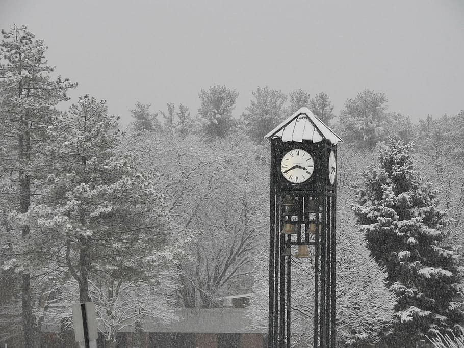 winter, snow, bell, school, clock, white, weather, hour, outdoor HD wallpaper
