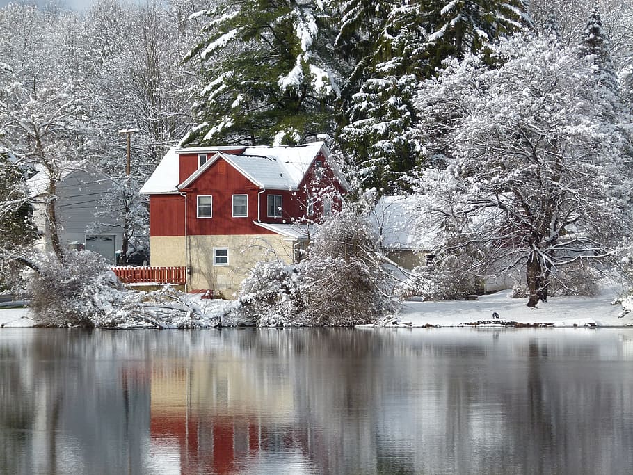 Snow, Landscape, Lake, Reflection, winter, nature, frost, white HD wallpaper