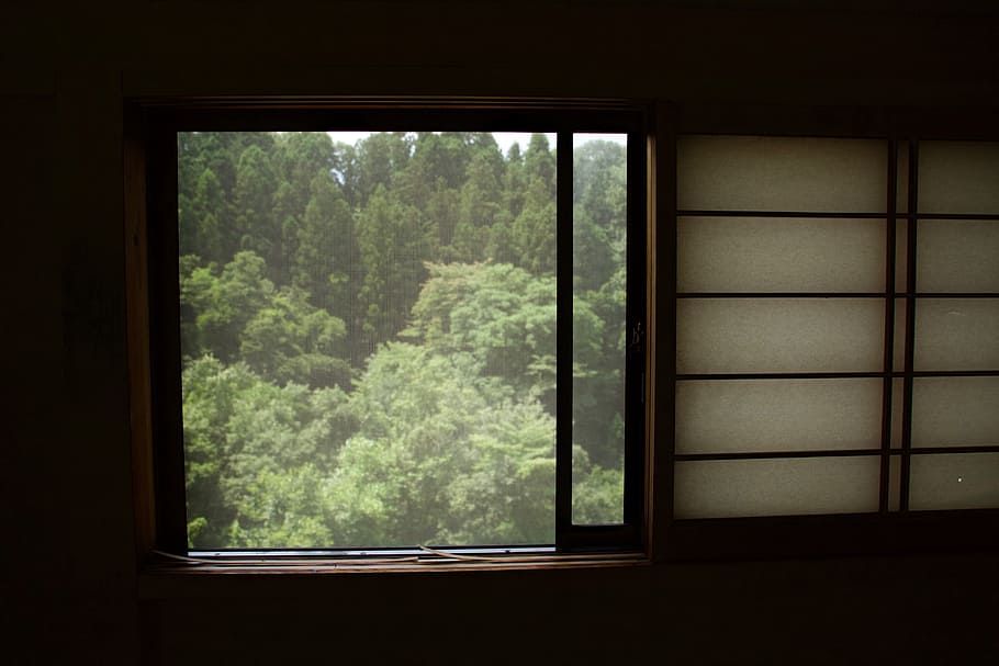 trees through window, rain pouring outside a window with view of green trees