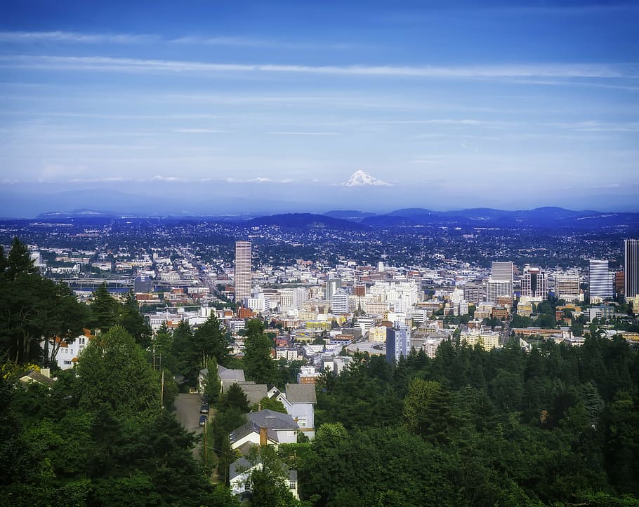 aerial photography of city during daytime, portland, oregon, cityscape, HD wallpaper
