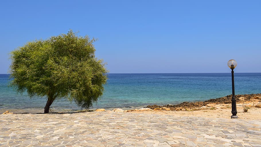 tree, lamp, sea, horizon, landscape, summer, protaras, cyprus HD wallpaper