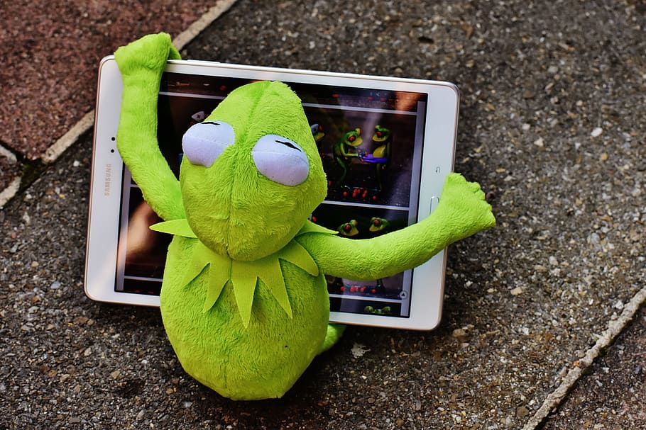 kermit, frog, tablet, computer, figure, soft toy, stuffed animal HD wallpaper