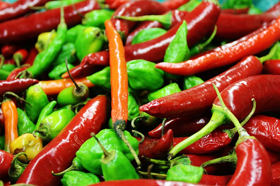 chili, colorful, sharp, pods, vegetable, food, red, heat - Temperature HD wallpaper