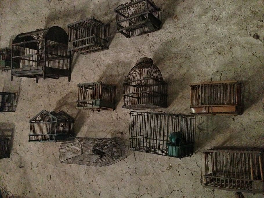 cages, collection, wall, architecture, old, house, built structure HD wallpaper