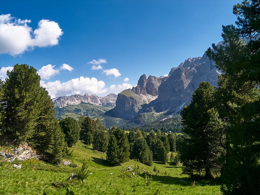 Nature, Landscape, Mountains, Forest, rock, alpine, south tyrol, HD wallpaper