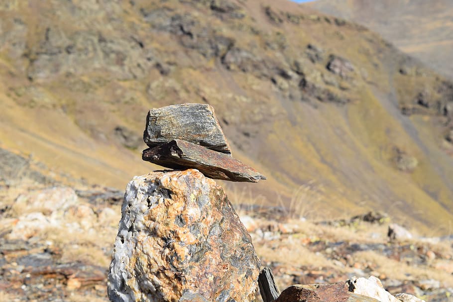 landscape, puigmal, nature, solid, rock, rock - object, animals in the wild HD wallpaper