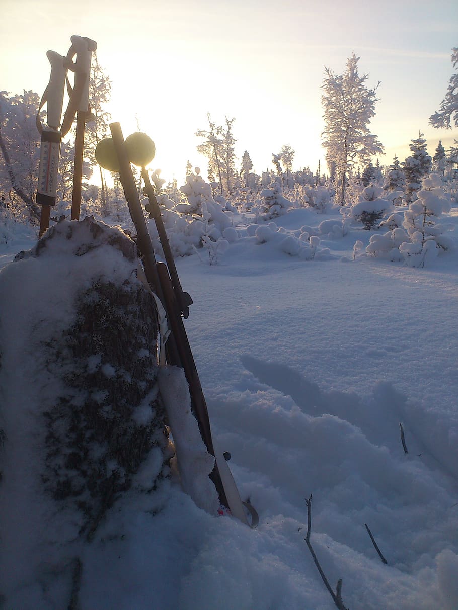 winter, hunting, cold, snow, morning, sun, forest, cold temperature HD wallpaper