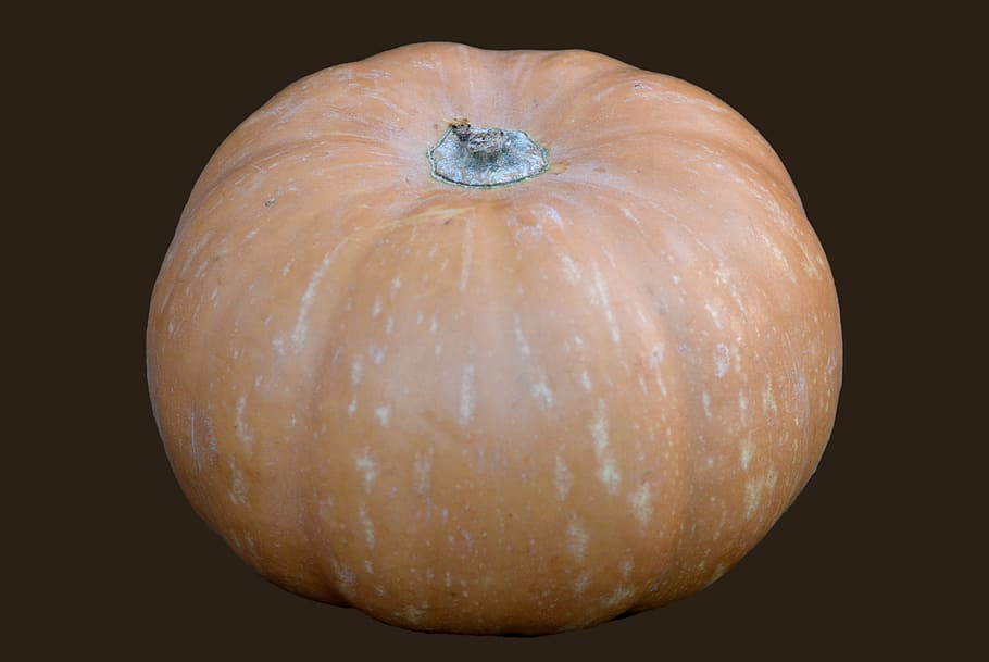 pumpkin, vegetable, orange, food, food and drink, studio shot HD wallpaper