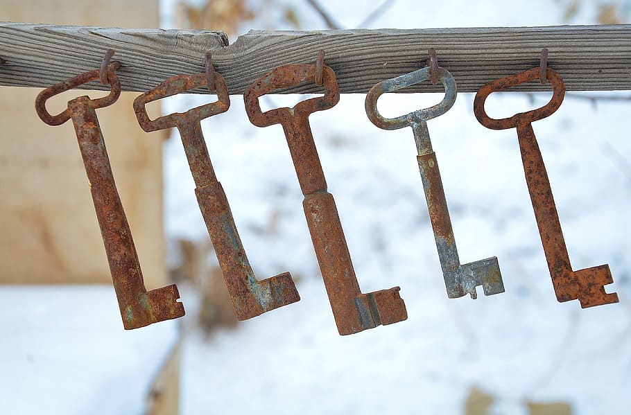 shallow focus photo of four hanging brown and one gray skeleton keys, HD wallpaper