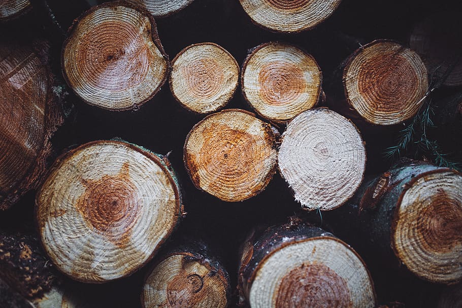 woods, logs, lumber, large group of objects, timber, stack HD wallpaper