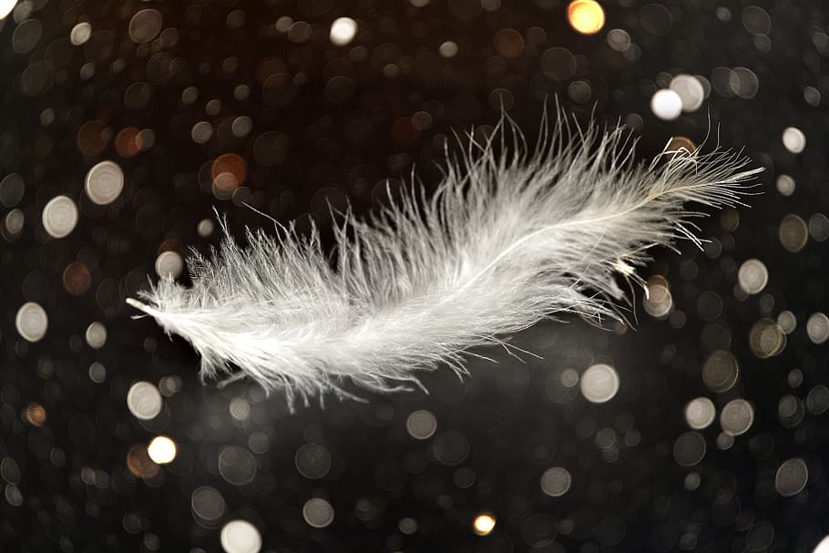 2547 Feather Glitter Texture Stock Photos Images  Photography   Shutterstock