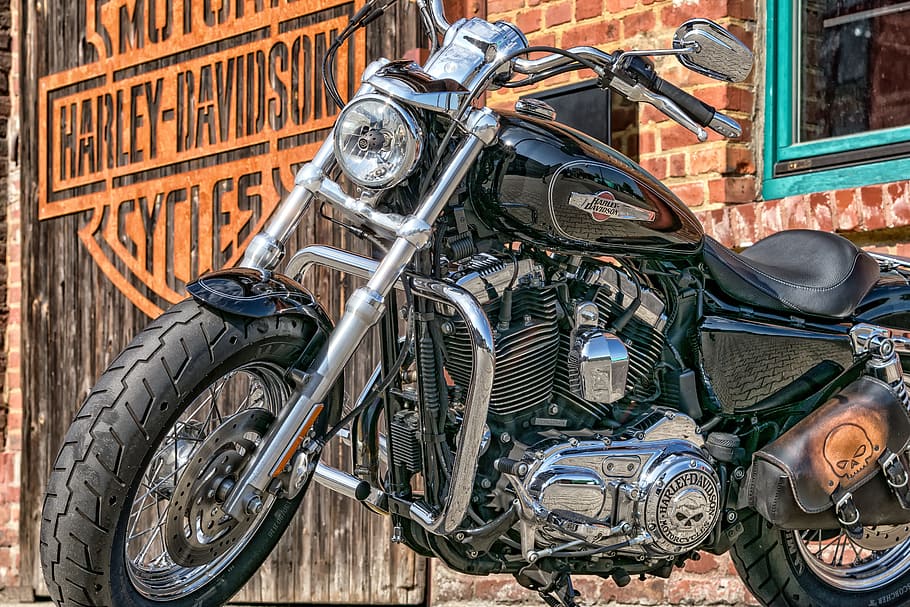 close-up photography of Harley-Davidson Motorcycles cruiser motorcycle, HD wallpaper