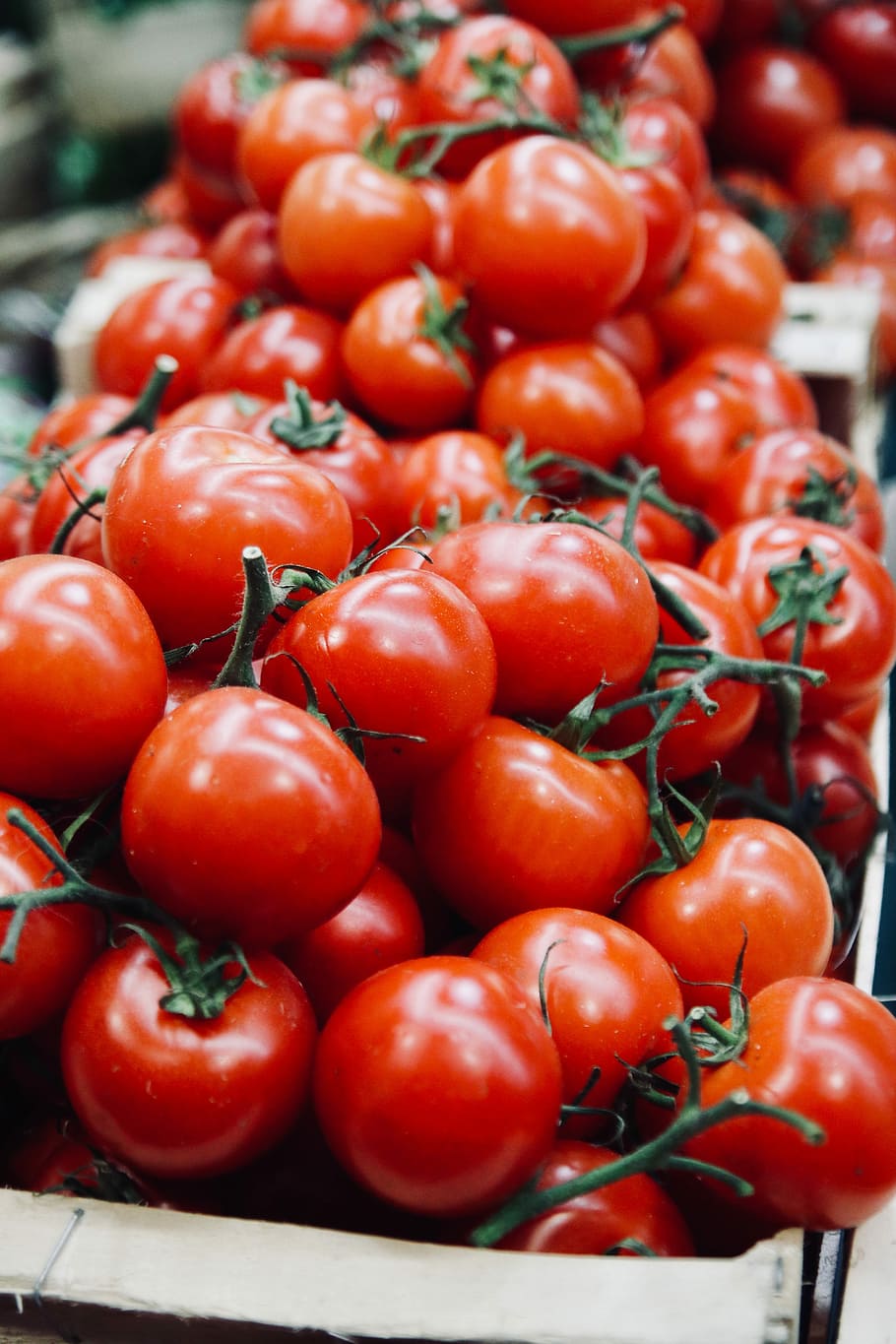 tomatoe lot, lots of tomatoes, stall, market, vine, red, food and drink, HD wallpaper