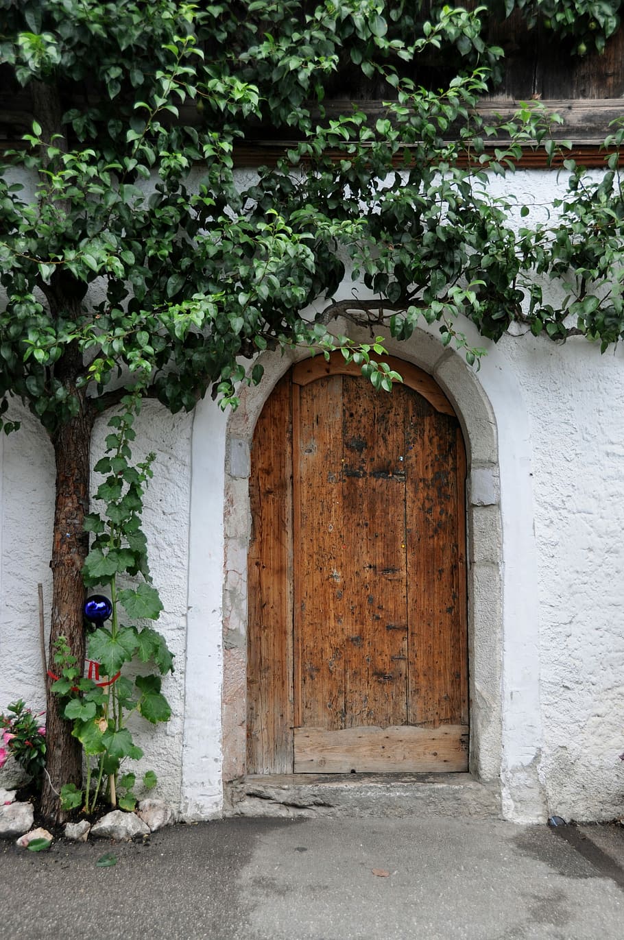 Door, Tree, House, Front, Green, Home, entrance, arch, day, HD wallpaper