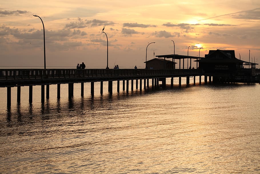 sunset, ocean, bay, twilight, pier, fishing pier, shore, architecture HD wallpaper
