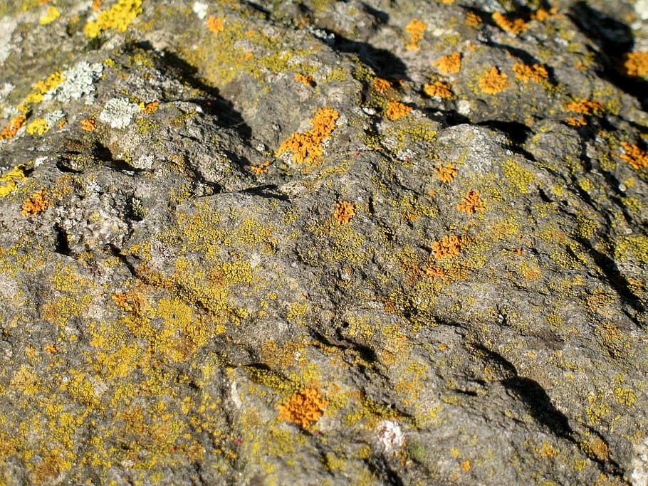 stone, weave, nature, background, textured, full frame, backgrounds HD wallpaper