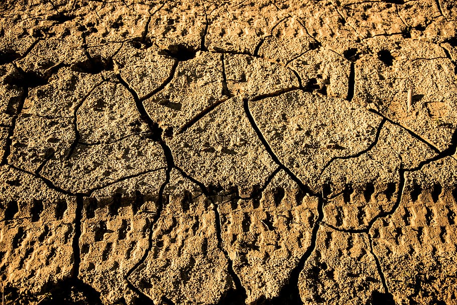 footprints, wheel, drought, cracks, mud, clay, earth, soil HD wallpaper
